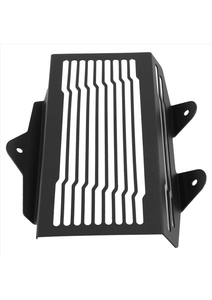 Bmw R12 R12 R 12 Ninet 2024 2025 Isı Lavabo Koruyucusu Için Motosiklet Radyatör Muhafız (Yurt Dışından) fiyatları