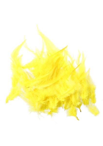 Dekorasyon Için 50 Adet Boyalı Horoz Tüyleri 10 - 15 cm - Sarı (Yurt Dışından)