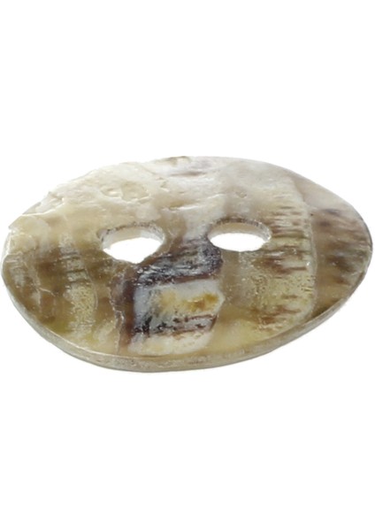 100 x 10 mm Inci Midye Yuvarlak Düğmeleri (Yurt Dışından) fiyatları