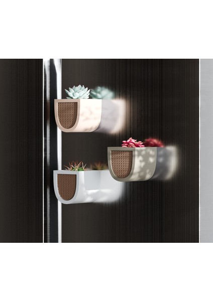 Mıknatıslı Buzdolabı Saksısı