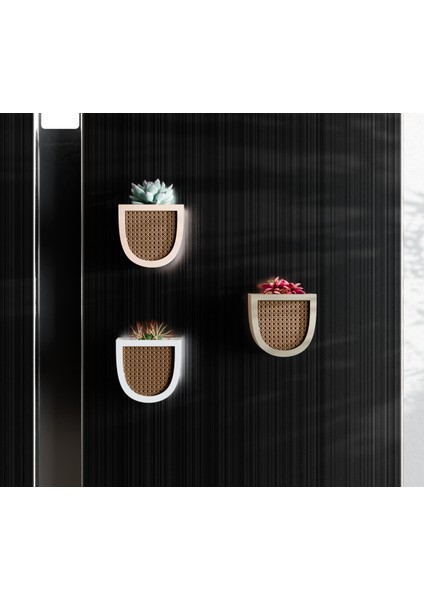 Mıknatıslı Buzdolabı Saksısı fiyatları