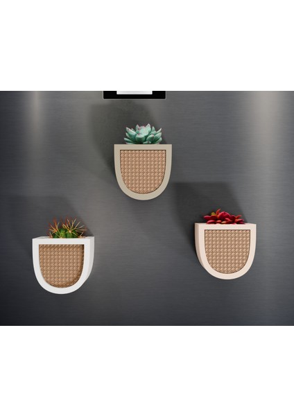 Mıknatıslı Buzdolabı Saksısı modelleri