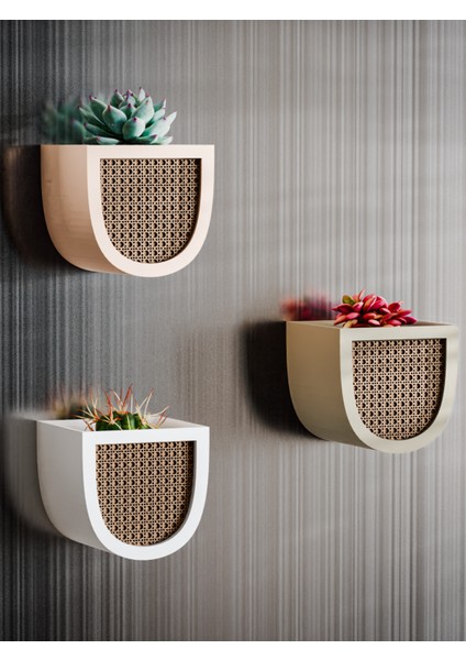 Mıknatıslı Buzdolabı Saksısı fırsatları