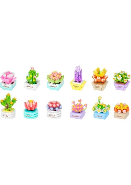 Bfs Saksı Çiçekleri Sukulent Serisi 3D Puzzle fiyatları