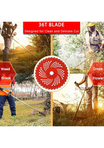 Çim Biçme Bıçağı Alaşım Fırça Kesici Testere Bıçağı 9 Inç 36 Diş 230 Tungsten Çelik Manganez Çelik Bahçe Araçları (Yurt Dışından) fırsatları