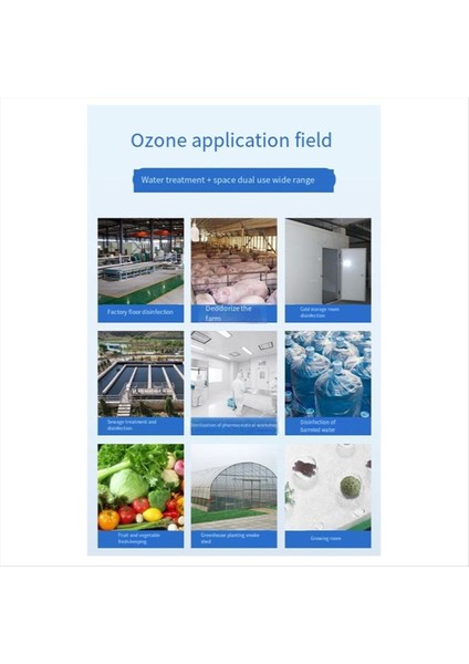 10G Seramik Tüp Ozon Jeneratörü Seramik Tüp Ozon Jeneratörü Seramik Tüp Su Sterilizatör Seramik Seramik 220V (Yurt Dışından) indirimleri