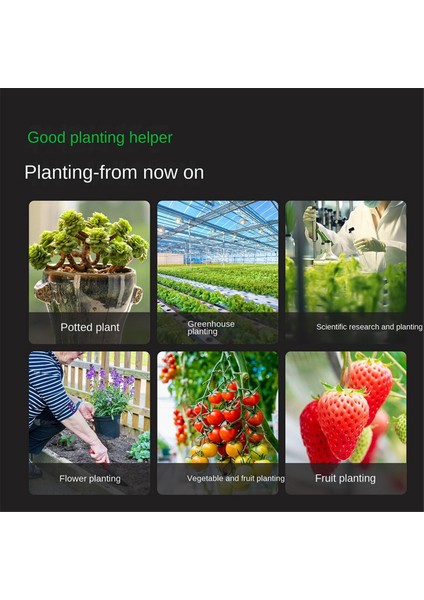 4 Aradan 1 Toprak Ph Metre Nem/sıcaklık/toprak Ph Test Cihazı Güneş Işığı Yoğunluk Ölçer Bahçecilik Bitkileri Backli ile Tarım (Yurt Dışından) modelleri