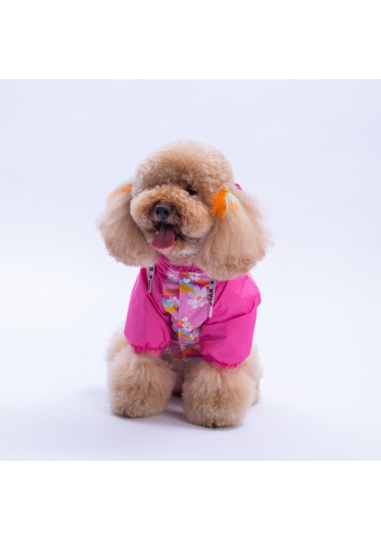 Florence Daisy Pembe Papatya Desenli Daisy Köpek Mont Köpek Yağmurluk Köpek Kıyafeti Köpek Elbisesi modelleri