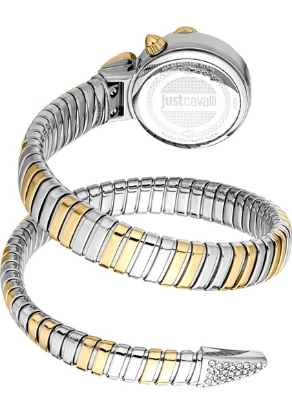 Just Cavallı JC1L350M0055 Kadın Kol Saati modelleri