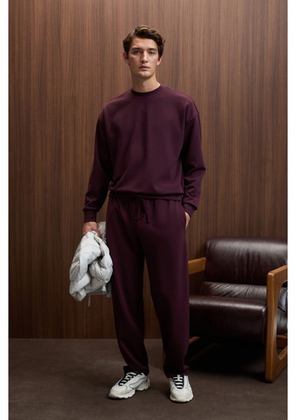 VIENTO Erkek Bisiklet Yaka Uzun Kollu Regular Fit Bordo Sweatshirt