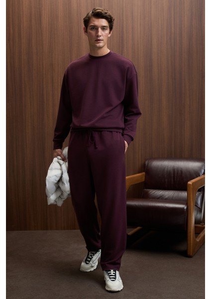 VIENTO Erkek Bisiklet Yaka Uzun Kollu Regular Fit Bordo Sweatshirt fiyatları