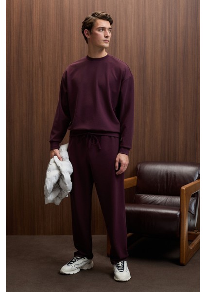 VIENTO Erkek Bisiklet Yaka Uzun Kollu Regular Fit Bordo Sweatshirt