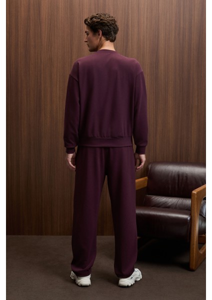 VIENTO Erkek Bisiklet Yaka Uzun Kollu Regular Fit Bordo Sweatshirt