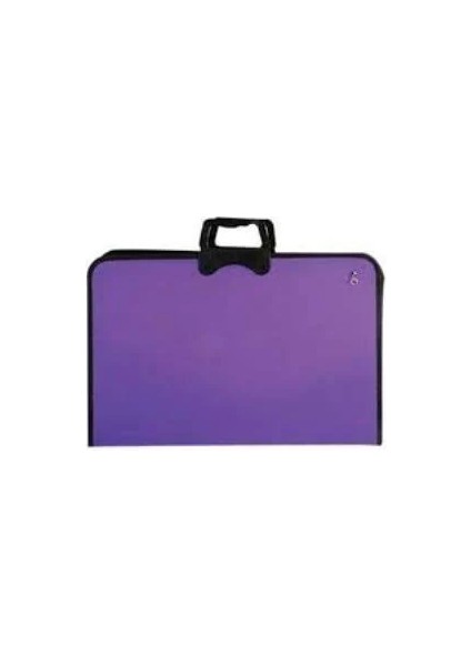 Pro Arts 37X54 Proje Veresimçantası Mor Renk