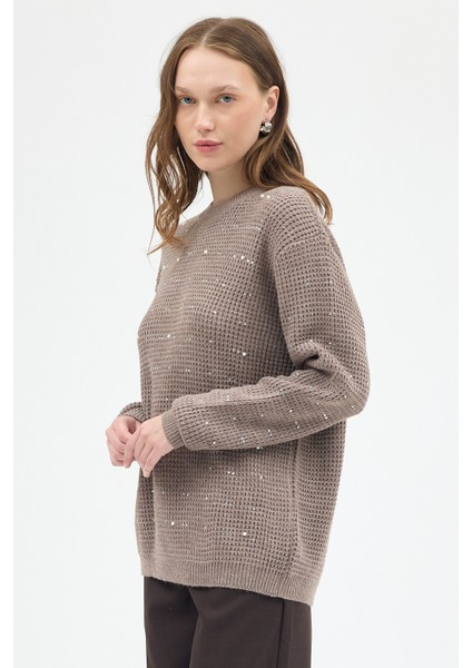 Koyu Vizon Kadın Taş İşleme Detaylı Bisiklet Yaka Triko Kazak 7045 fiyatları