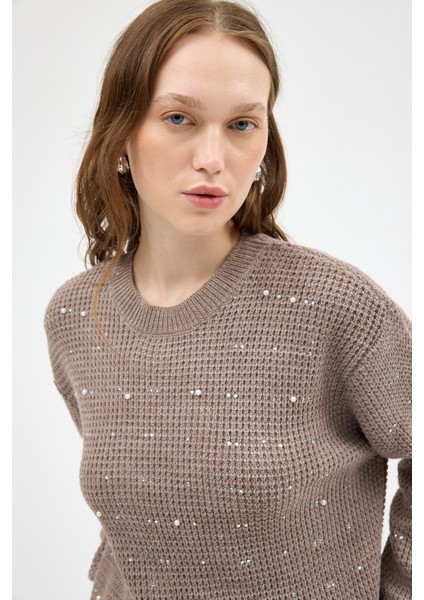 Koyu Vizon Kadın Taş İşleme Detaylı Bisiklet Yaka Triko Kazak 7045 indirimleri