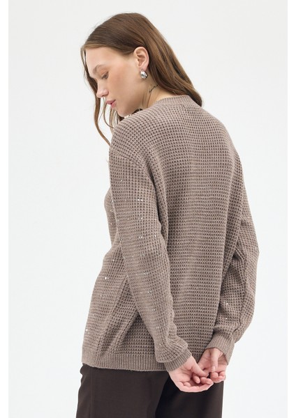 Koyu Vizon Kadın Taş İşleme Detaylı Bisiklet Yaka Triko Kazak 7045