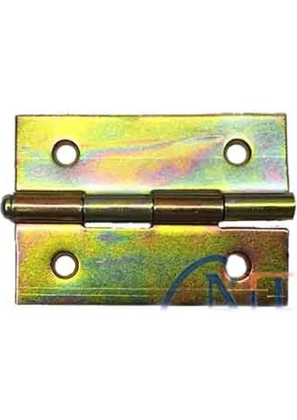 Yaprak Menteşe No:2,5 - 38X61MM, 1 Adet