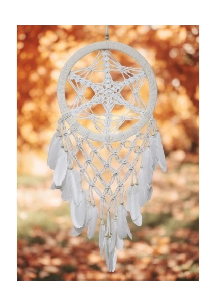 Yıldız Motifli Ekru Renk Büyük Boy Düş Kapanı Duvar Dekoru modelleri