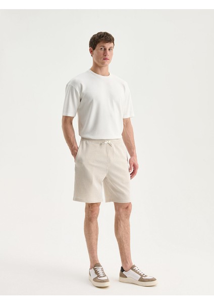 Yeni Sezon Standart Kalıp Çizgili Erkek Şort