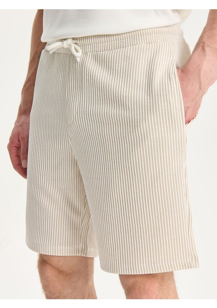 Yeni Sezon Standart Kalıp Çizgili Erkek Şort modelleri