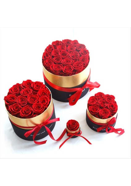Romantik Seviye Kutsal Hediyelerde Ebedi Bir Gül Karısı Gerçek Gül Korunmuş Çiçek Hediye Seti Ev Dekoru Sevgililer Günü Düğün-D (Yurt Dışından) fiyatları
