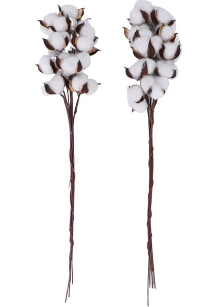 20PCS Pamuk Gövdeleri Pamuklu Çiçekler Yapay Pamuklu Çiçek Sapları Vazo Için Çiftlik Evi Süslemeleri Ev Dekorasyonu (Yurt Dışından)