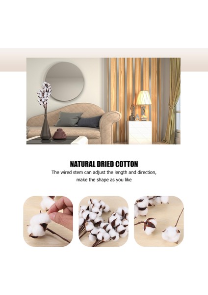 20PCS Pamuk Gövdeleri Pamuklu Çiçekler Yapay Pamuklu Çiçek Sapları Vazo Için Çiftlik Evi Süslemeleri Ev Dekorasyonu (Yurt Dışından) indirimleri