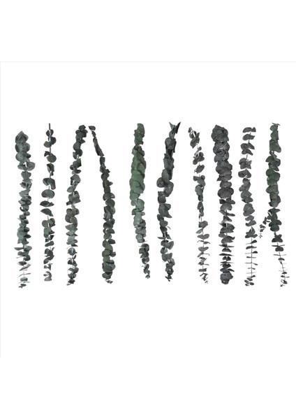 10 Paket Doğal Kurutulmuş Okaliptüs Demeti Korunmuş Taze Okaliptüs Dalları Çiçek Aranjmanları Için Düğün Ev Dekor (Yurt Dışından)