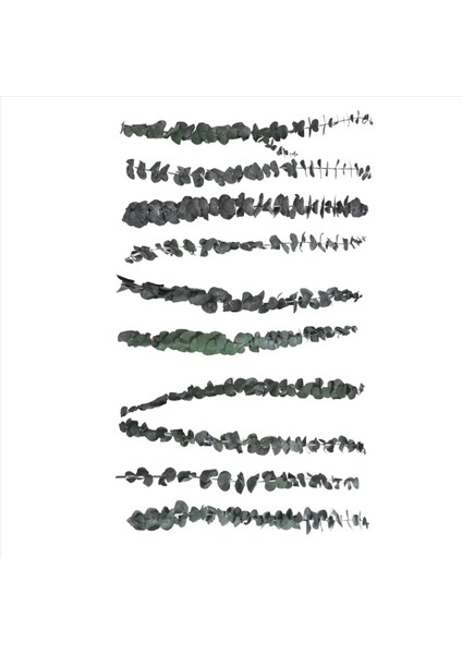 10 Paket Doğal Kurutulmuş Okaliptüs Demeti Korunmuş Taze Okaliptüs Dalları Çiçek Aranjmanları Için Düğün Ev Dekor (Yurt Dışından) fiyatları