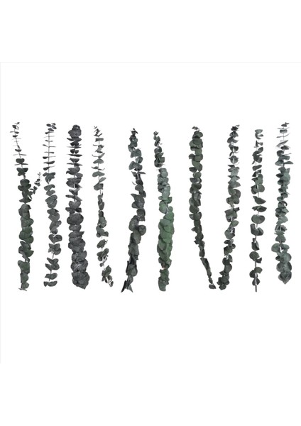 10 Paket Doğal Kurutulmuş Okaliptüs Demeti Korunmuş Taze Okaliptüs Dalları Çiçek Aranjmanları Için Düğün Ev Dekor (Yurt Dışından) modelleri