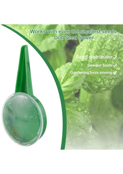 1 Adet Tohum Tohum Sörfü Ekici Bahçecilik Malzemeleri Elle Tutulan Çiçek Bitkisi Fidan (Yurt Dışından) fırsatları