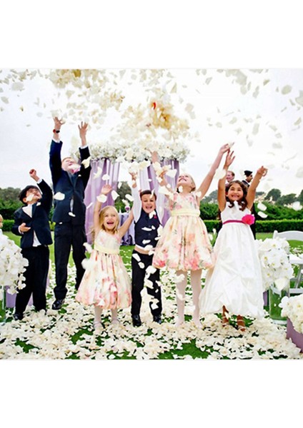 200 Adet Ipek Gül Yaprakları Yapay Gül Çiçek Taç Yaprağı Düğün Için Ev Otel Sevgililer Günü Dekorasyonu Beyaz (Yurt Dışından) fırsatları