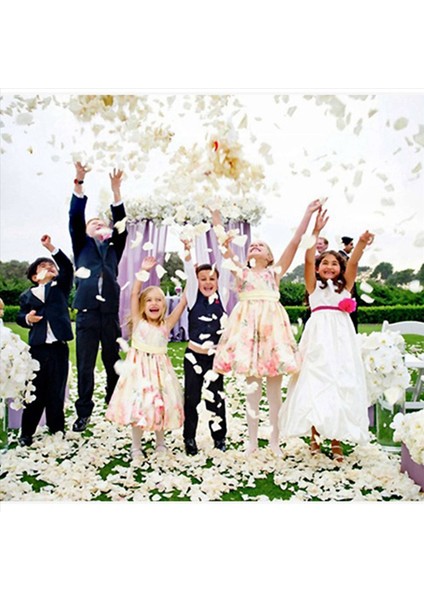 600 Pc/set Ipek Gül Yaprakları Düğün Için Yapay Gül Çiçek Taç Yaprağı Evi Otel Sevgililer Günü Dekorasyonu Beyaz (Yurt Dışından) indirimleri