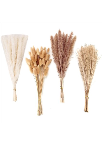 300 Adet Kurutulmuş Pampas Çim Dekor Pampas Çim Tavşan Kuyruklar Kurutulmuş Çiçekler Sazlık Çim Buket Düğün Partisi Boho Dekor (Yurt Dışından) fiyatları