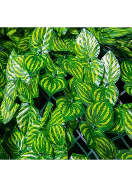 2x 0 5x3 M Duvar Bitki Çit Yapay Sarmaşık Yaprağı Gizlilik Çit Ekran Dekor Panelleri Çit (Yurt Dışından) fırsatları