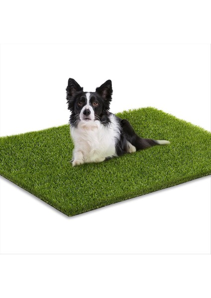 Yapay Çim Profesyonel Yapay Çim Çim Dış Mekan Dış Mekan Ev Giriş Yolu Veranda Bahçe Alanı Halı Çim 50X80CM (Yurt Dışından) modelleri