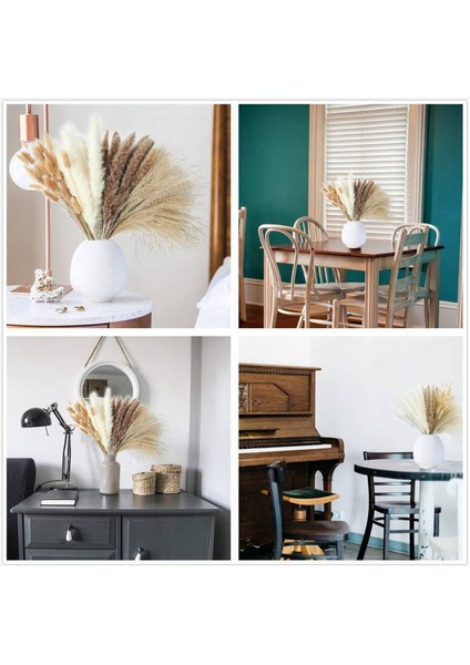 300 Adet Kurutulmuş Pampas Çim Dekor Pampas Çim Tavşan Kuyruklar Kurutulmuş Çiçekler Sazlık Çim Buket Düğün Partisi Boho Dekor (Yurt Dışından) modelleri