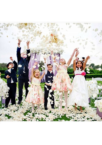 400 Pcs Ipek Gül Yaprakları Yapay Gül Çiçek Taç Petal Evi Evi Otel Sevgililer Günü Dekorasyonu Beyaz (Yurt Dışından) fırsatları