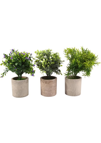 3 Paket Küçük Saksı Yapay Plastik Bitkiler Mini Biberiye Bitkisi Çiçek Houseplants Ev Dekoru Kapalı (Yurt Dışından)