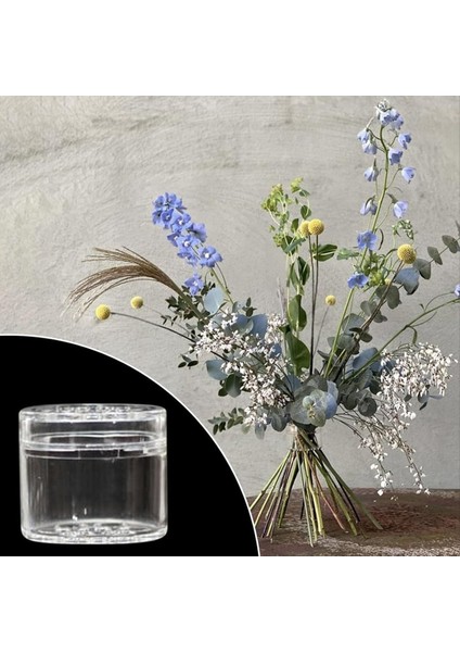 3 Pcs Spiral Ikebana Kök Tutucu Vazo Için Şeffaf Yeniden Kullanılabilir Çiçek Şebekesi Çiçekler Için Bloom Şişkin (Yurt Dışından) fırsatları