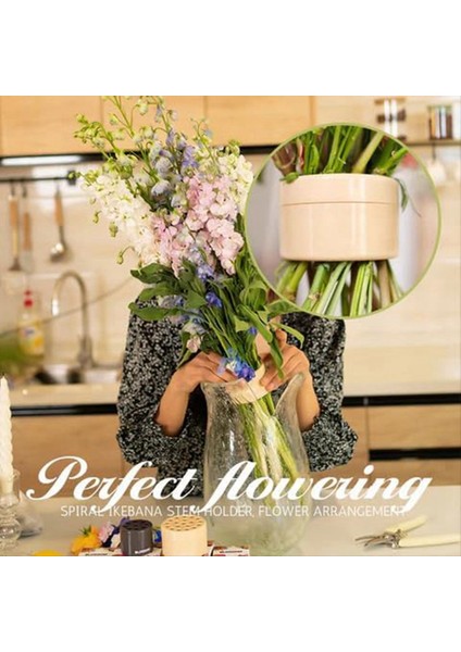 3 Adet Spiral Ikebana Kök Tutucu Vazo Için Yeniden Kullanılabilir Çiçek Izgarası Çiçekler Için Çiçek Açmacı (Yeşil) (Yurt Dışından) modelleri