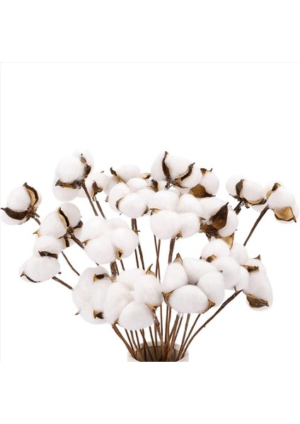 40PCS Pamuk Gövdeleri Pamuklu Çiçekler Yapay Pamuklu Çiçek Sapları Vazo Için Çiftlik Evi Süslemeleri Ev Dekorasyonu (Yurt Dışından) fiyatları