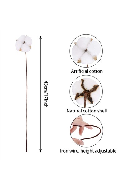 40PCS Pamuk Gövdeleri Pamuklu Çiçekler Yapay Pamuklu Çiçek Sapları Vazo Için Çiftlik Evi Süslemeleri Ev Dekorasyonu (Yurt Dışından) fırsatları