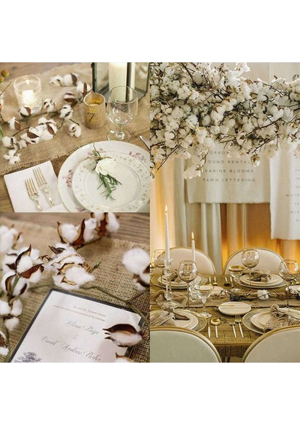 40PCS Pamuk Gövdeleri Pamuklu Çiçekler Yapay Pamuklu Çiçek Sapları Vazo Için Çiftlik Evi Süslemeleri Ev Dekorasyonu (Yurt Dışından) indirimleri