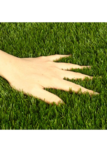 Yapay Çim Profesyonel Yapay Çim Çim Dış Mekan Dış Mekan Ev Giriş Yolu Veranda Bahçesi Halı Çim 50X60CM (Yurt Dışından)