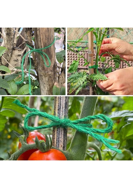 Noel Dekorasyonları Bahçe Sicim Bahçe Için Yeşil Sicim Domates Tırmanma Tesisi Kravat Çiçekçilik El Sanatları Hediyesi (Yurt Dışından) fiyatları