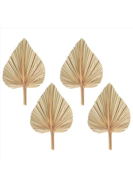 24 Adet Kurutulmuş Palmiye Yaprakları Kurutulmuş Palmiye Fanları Bohem Kuru Palmiye Mızrakları Yapay Bitkiler Hurma Yaprakları Tropikal Palmiye Yaprakları (Yurt Dışından) modelleri