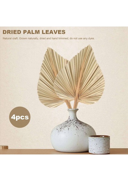 24 Adet Kurutulmuş Palmiye Yaprakları Kurutulmuş Palmiye Fanları Bohem Kuru Palmiye Mızrakları Yapay Bitkiler Hurma Yaprakları Tropikal Palmiye Yaprakları (Yurt Dışından) indirimleri