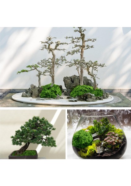 Simüle Yeşil Çim Bahçecilik Bonsai Dekorasyon Düğün Düğün Dekorasyonu Paskalya Yemek Masası (Yurt Dışından) fırsatları